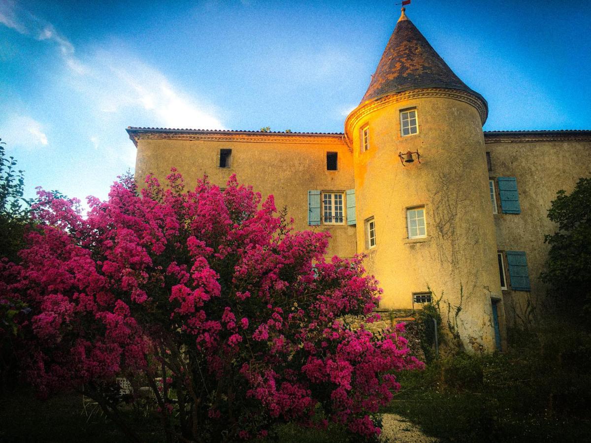 Chateau Gros Puy, Petit Chateau Chambre D'Hote Abjat-sur-Bandiat エクステリア 写真